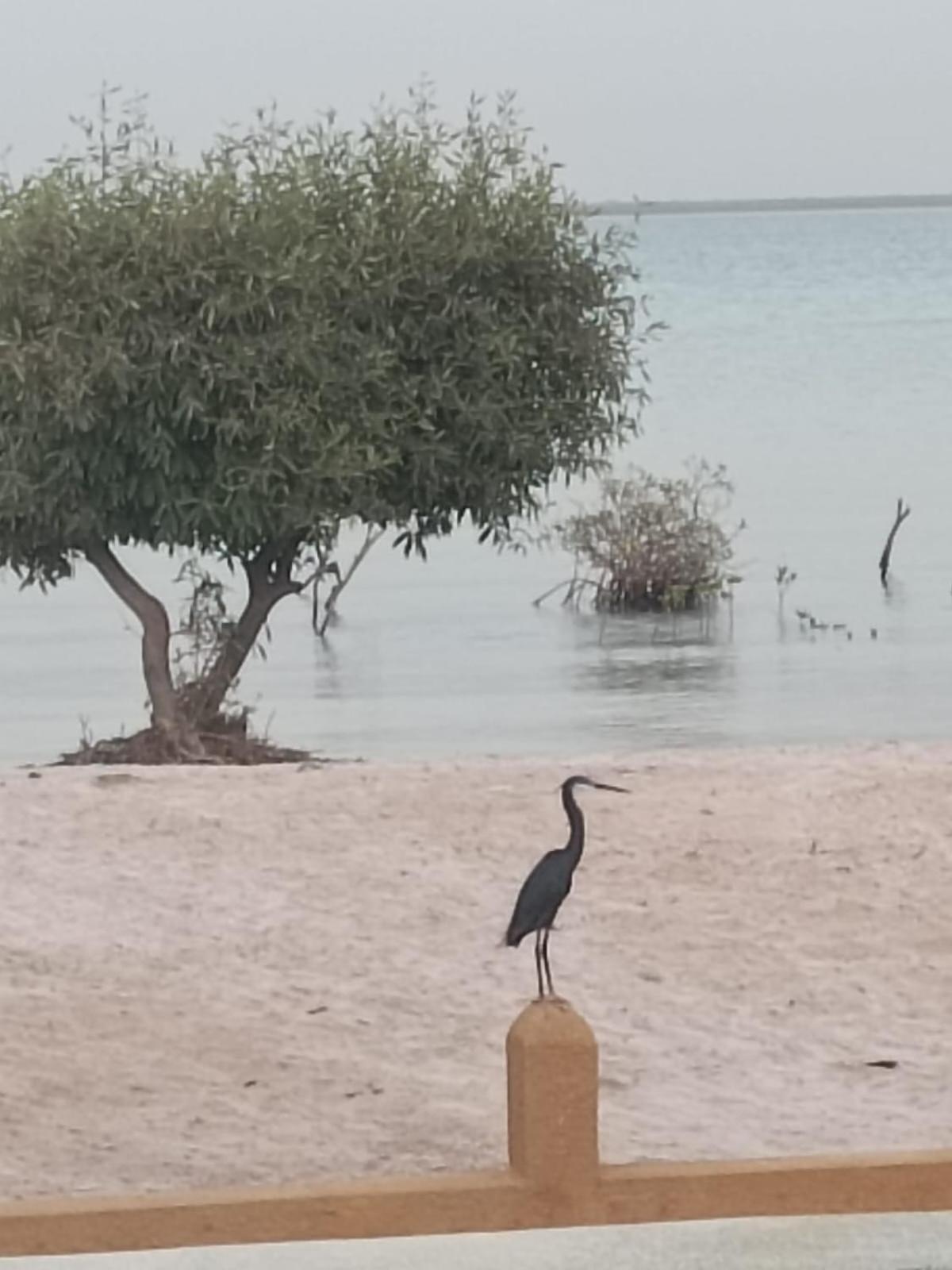 La Villa Sur La Plage Palmarin المظهر الخارجي الصورة